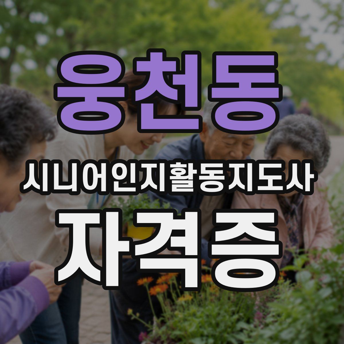 웅천동 시니어인지활동지도사 자격증