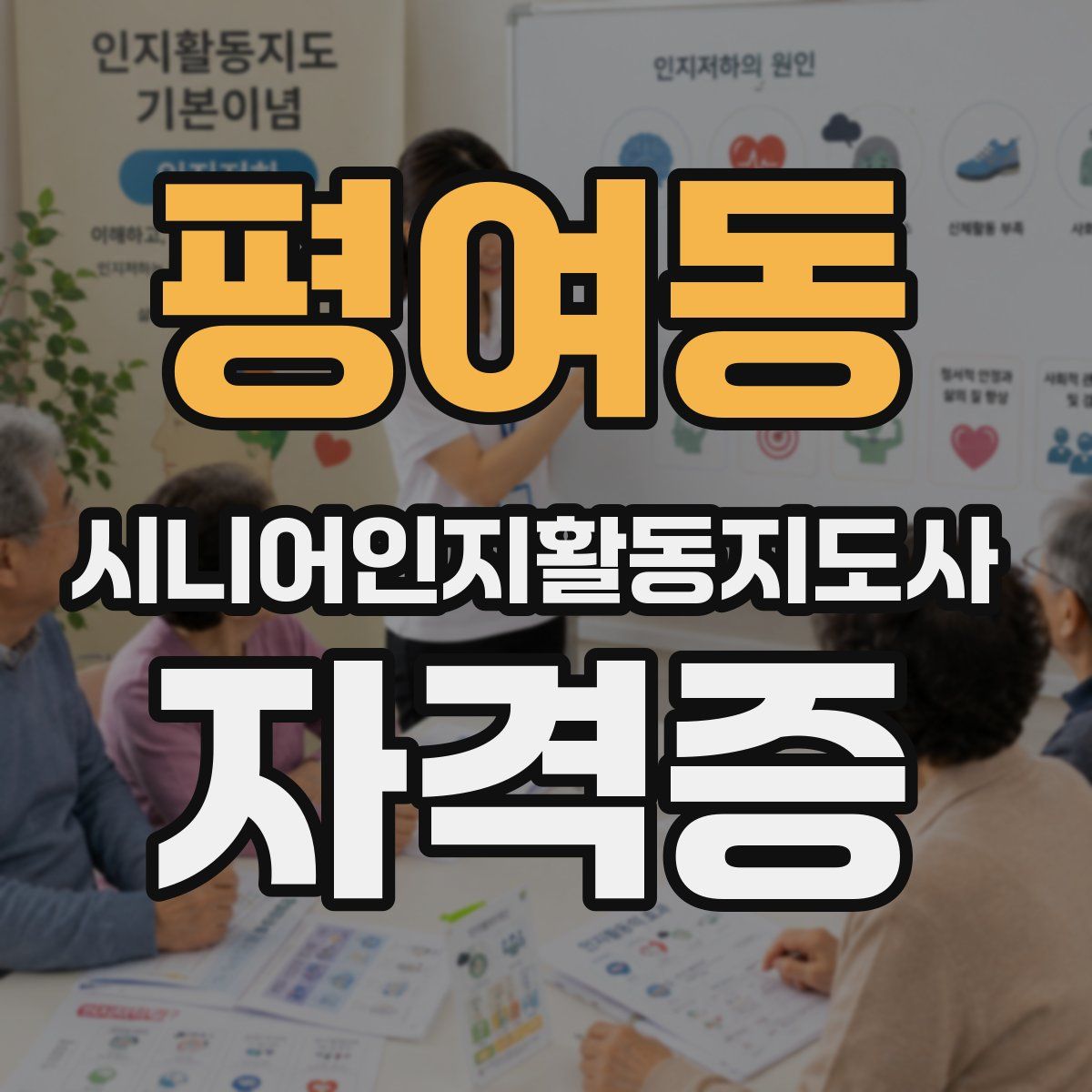평여동 시니어인지활동지도사 자격증