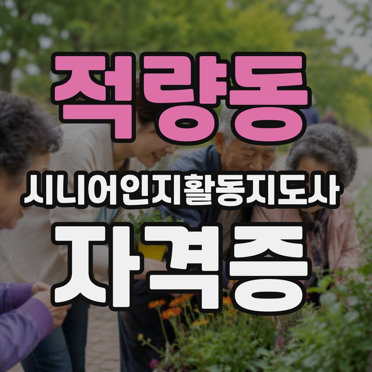 적량동 시니어인지활동지도사 자격증