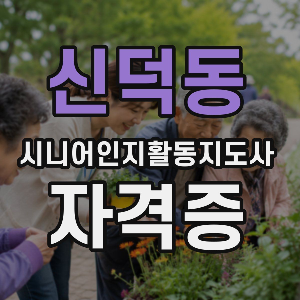 신덕동 시니어인지활동지도사 자격증
