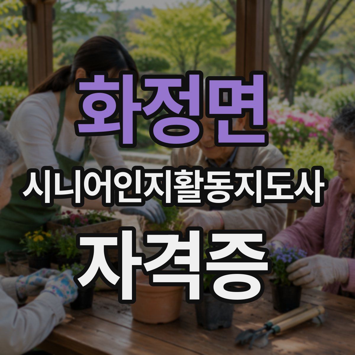 화정면 시니어인지활동지도사 자격증