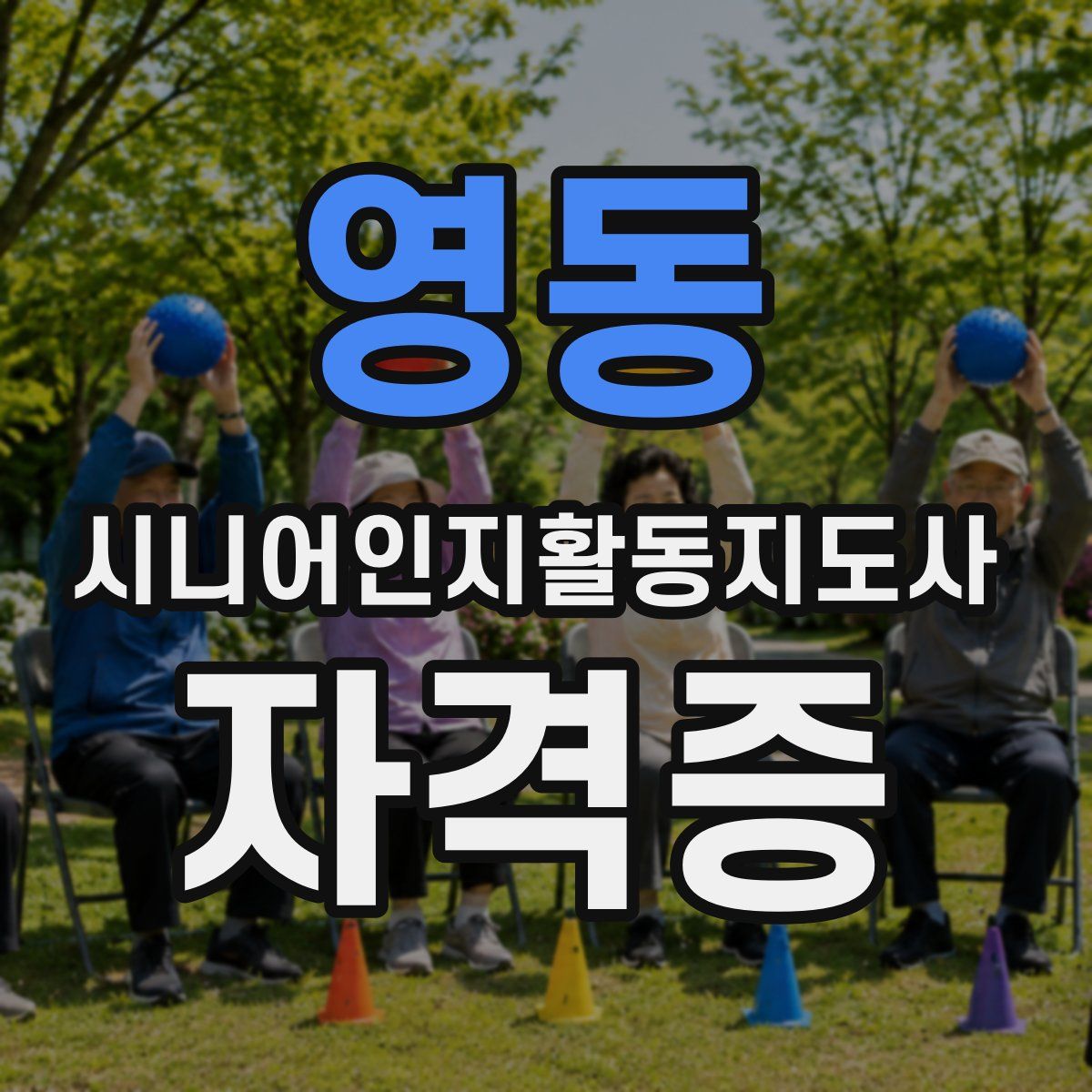 영동 시니어인지활동지도사 자격증