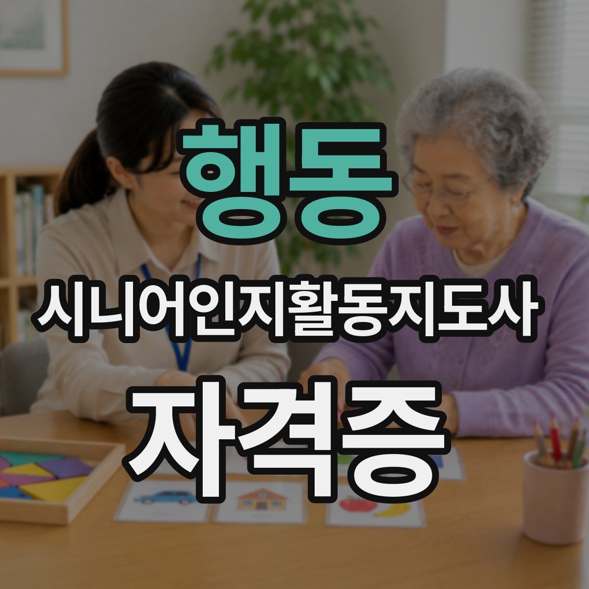 행동 시니어인지활동지도사 자격증