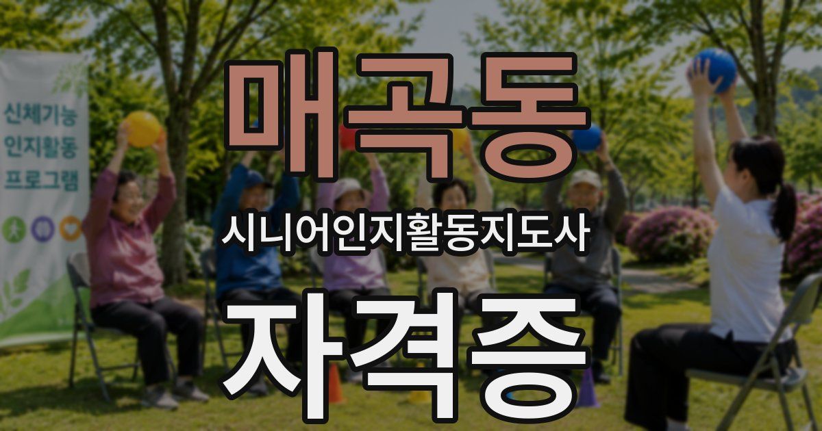 매곡동 시니어인지활동지도사 자격증