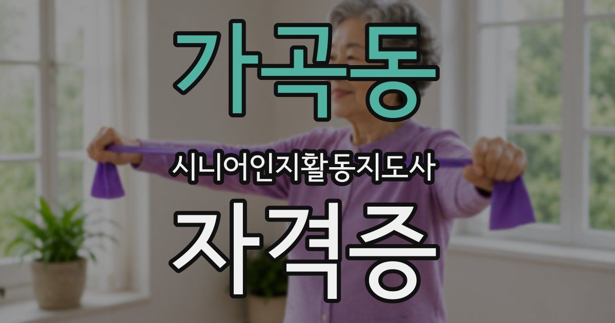 가곡동 시니어인지활동지도사 자격증