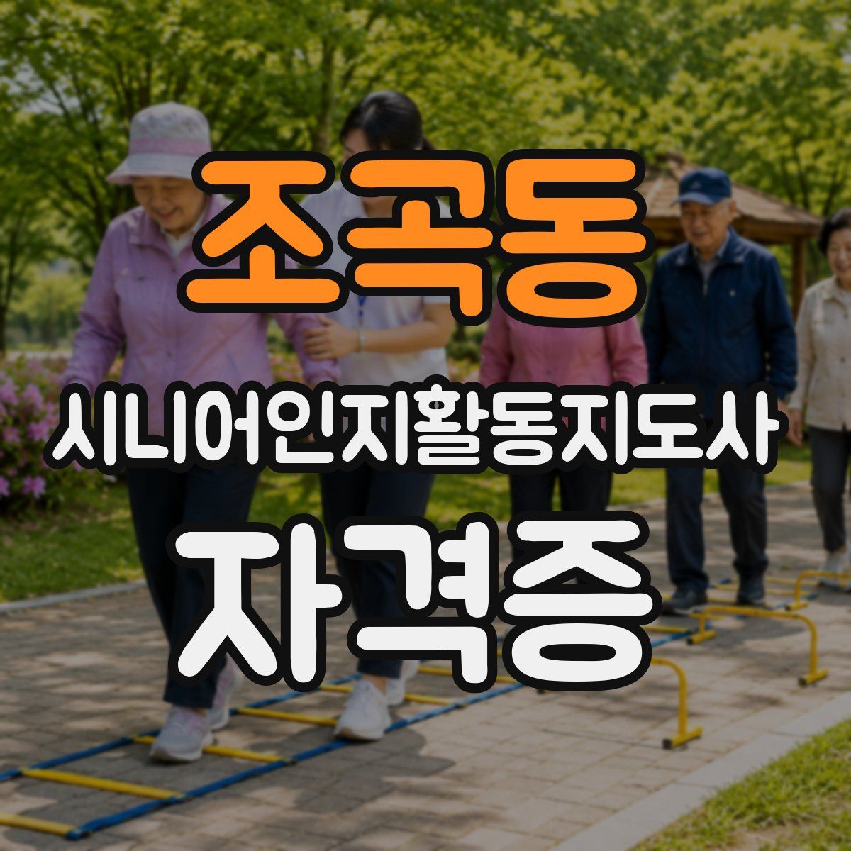 조곡동 시니어인지활동지도사 자격증