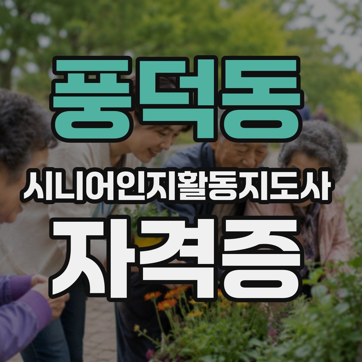 풍덕동 시니어인지활동지도사 자격증