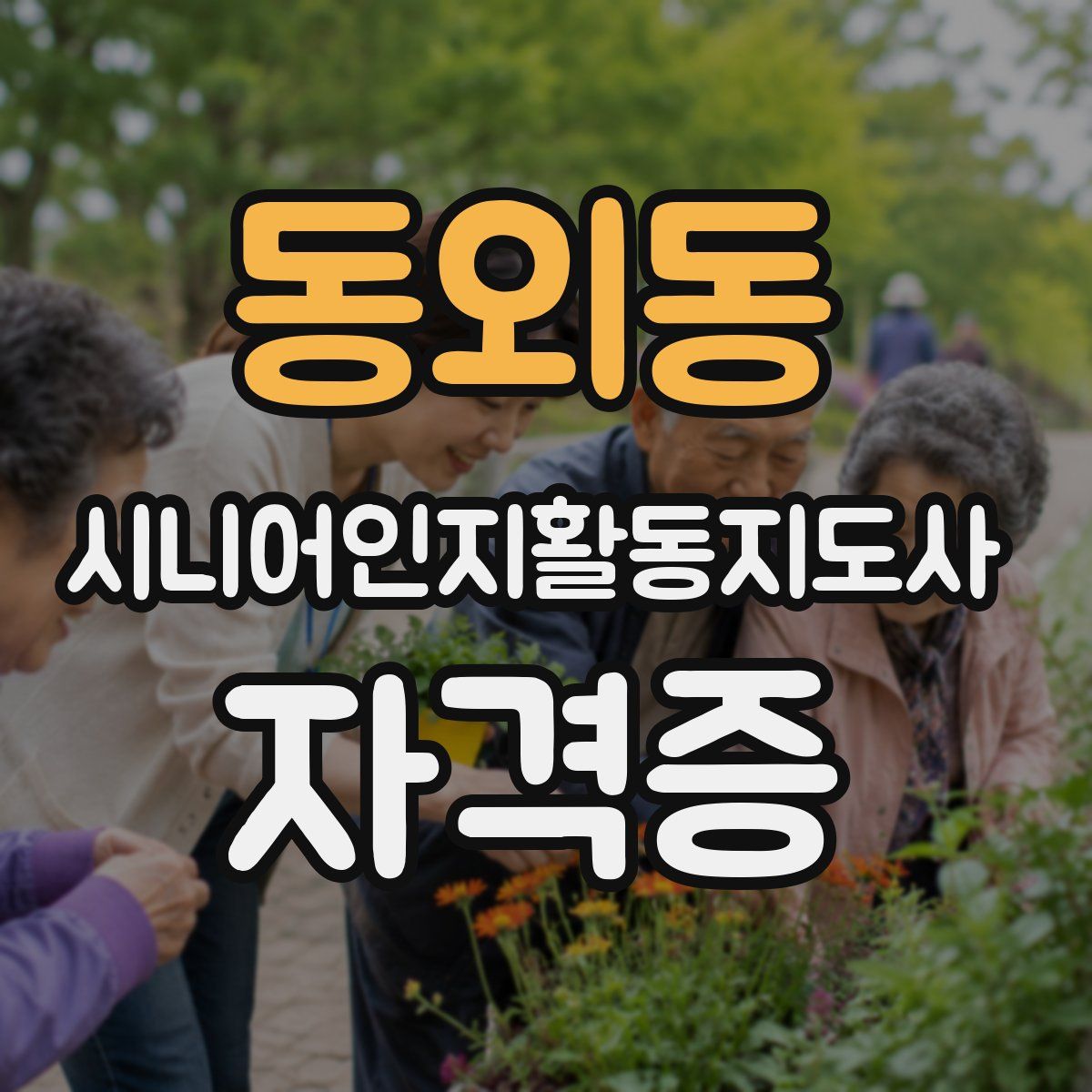 동외동 시니어인지활동지도사 자격증