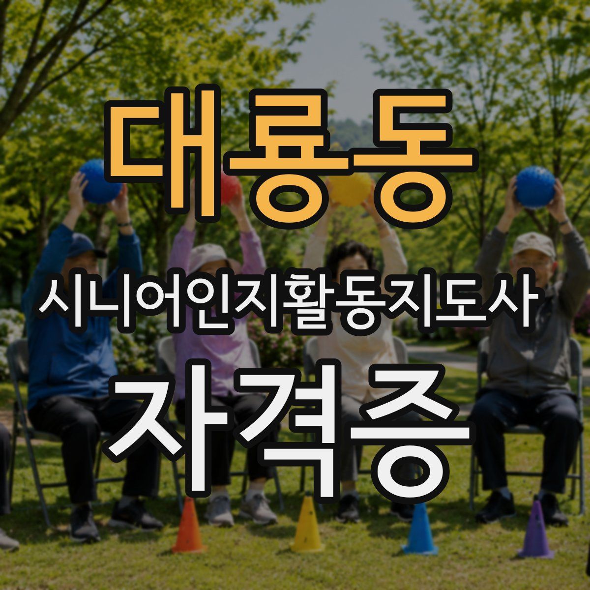 대룡동 시니어인지활동지도사 자격증