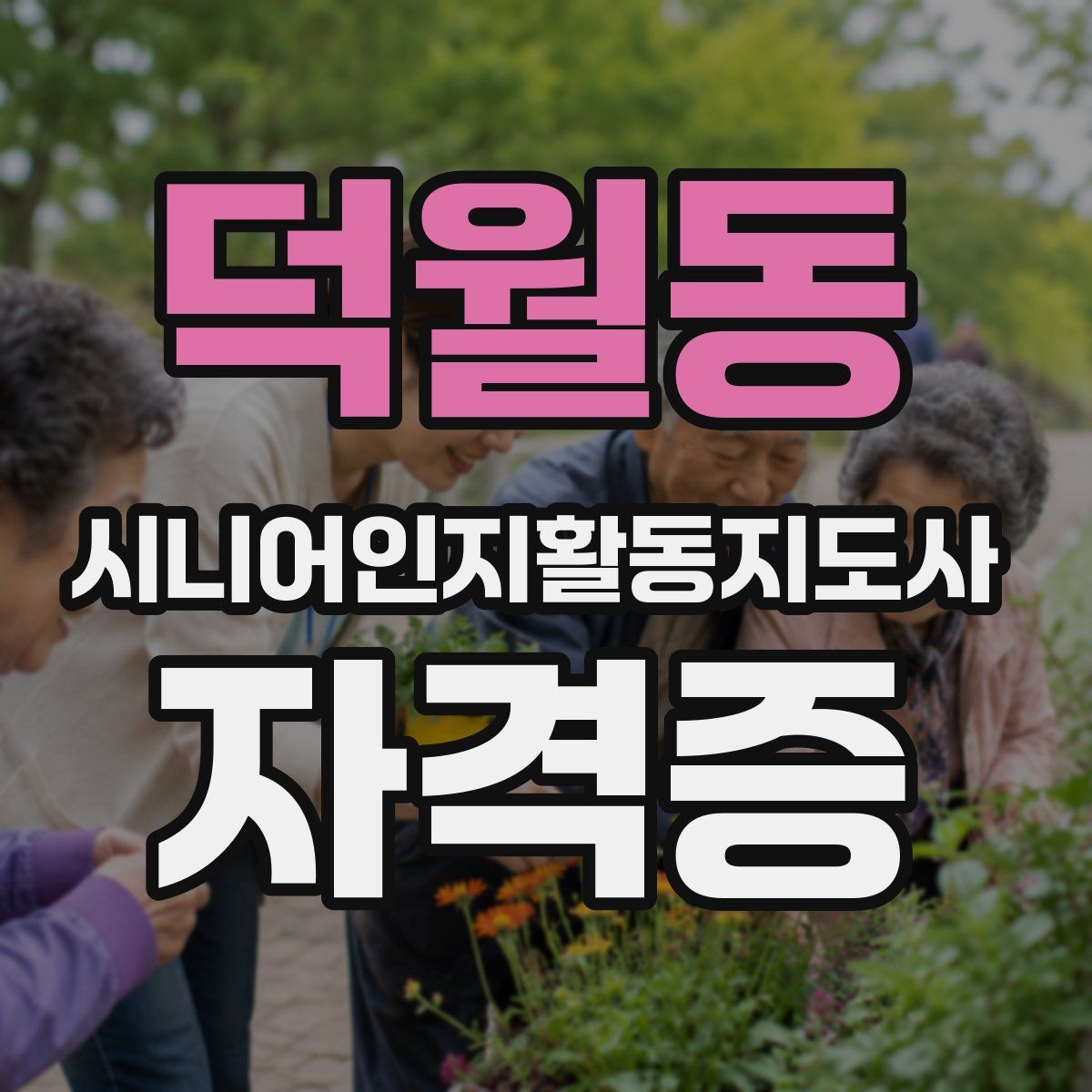 덕월동 시니어인지활동지도사 자격증