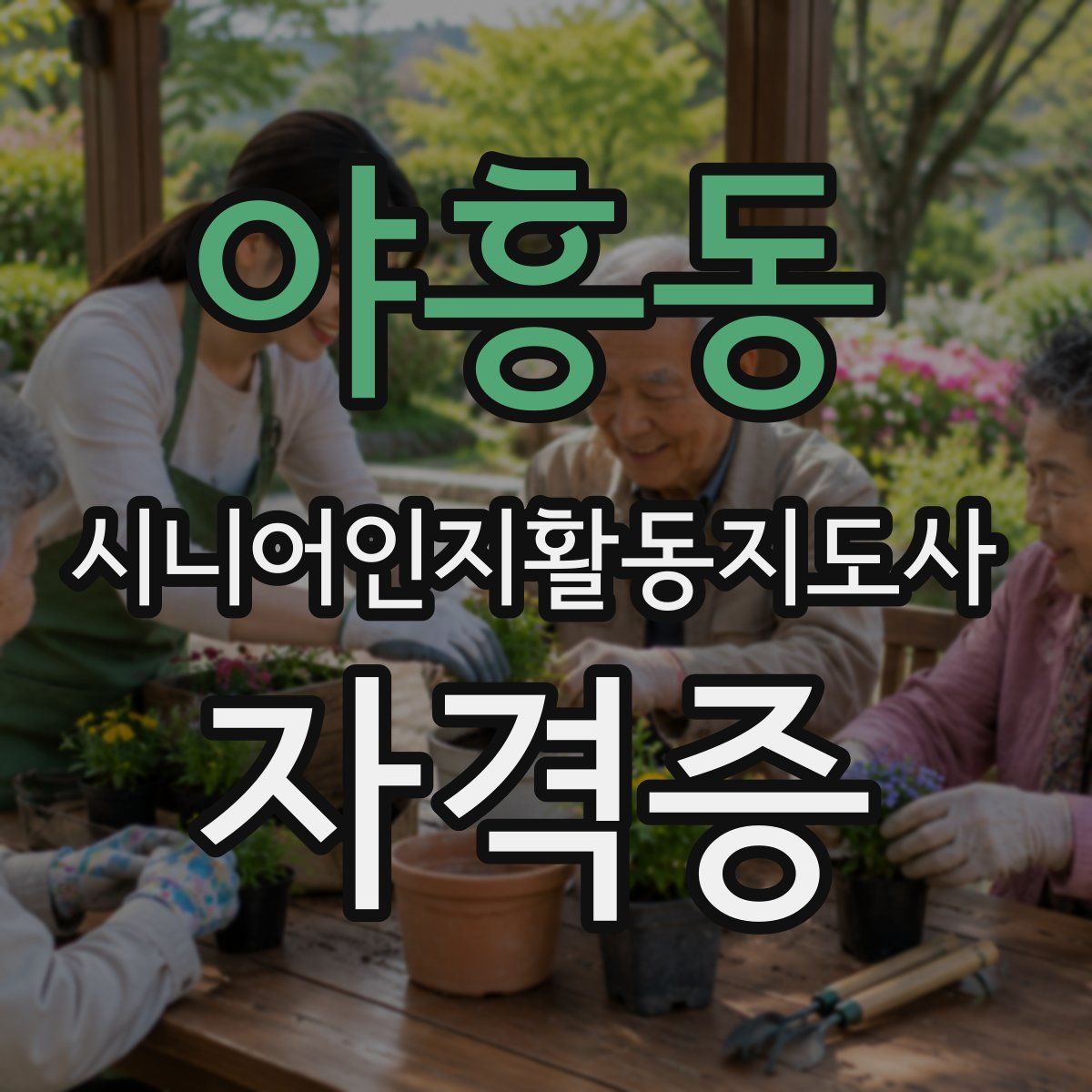 야흥동 시니어인지활동지도사 자격증