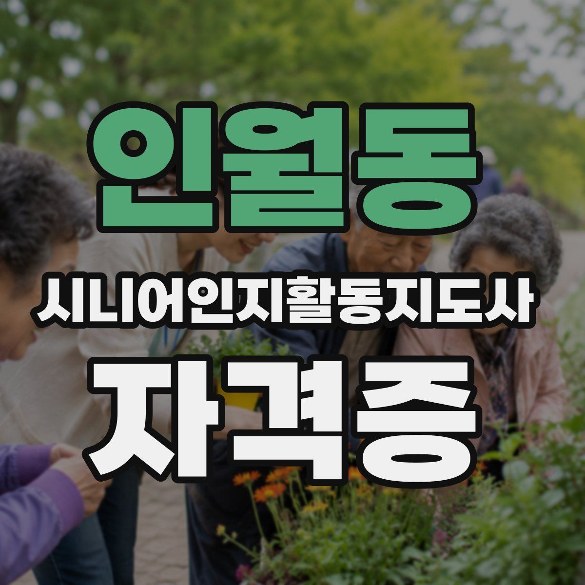 인월동 시니어인지활동지도사 자격증