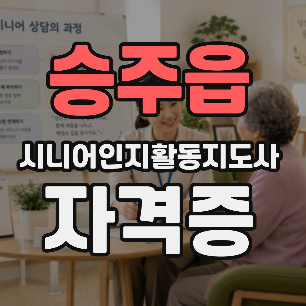 승주읍 시니어인지활동지도사 자격증