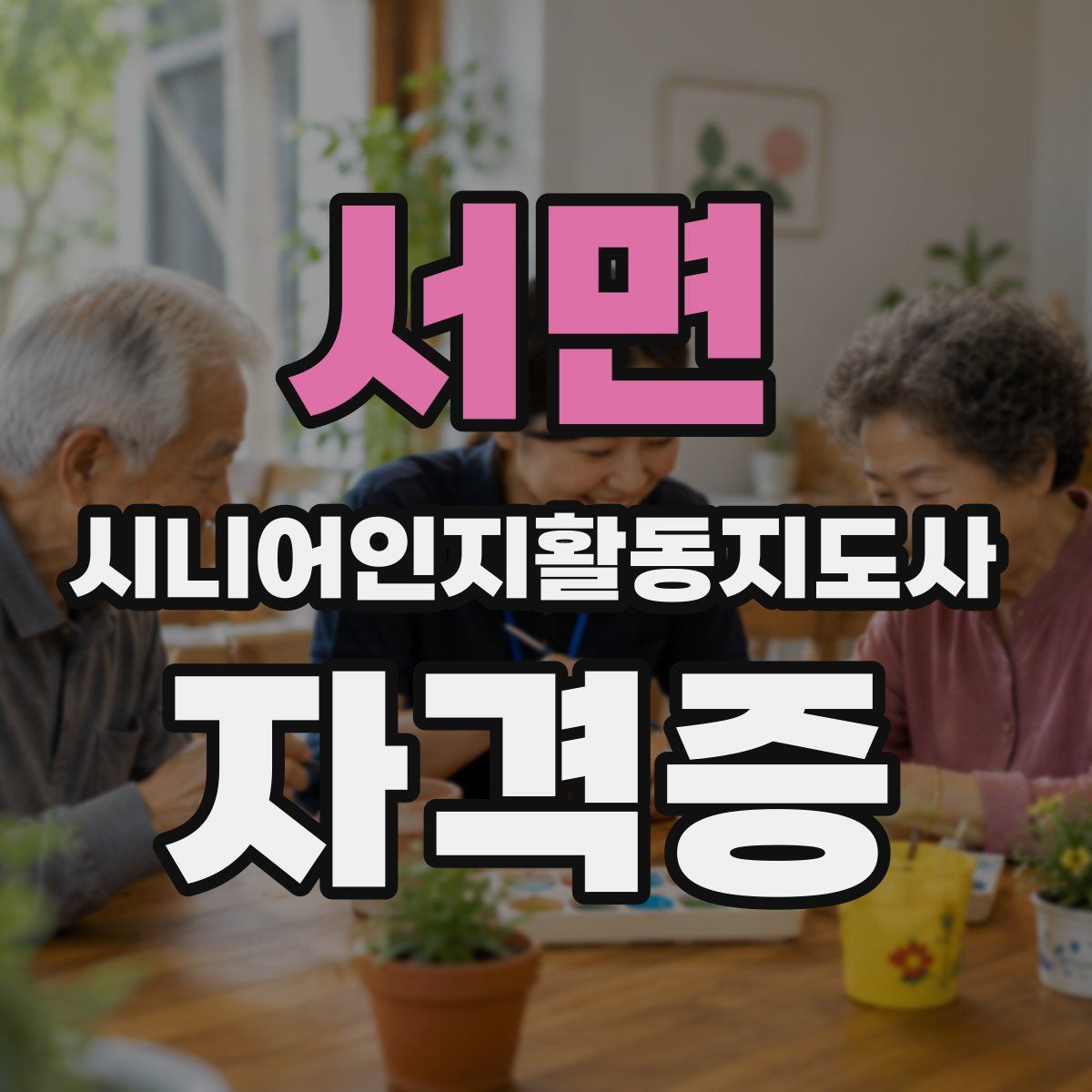 서면 시니어인지활동지도사 자격증
