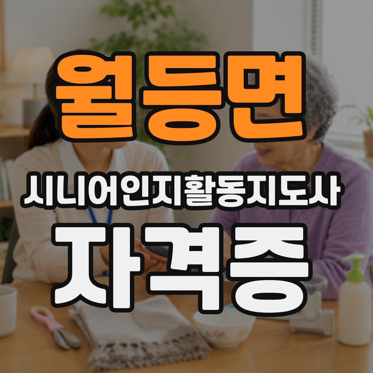 월등면 시니어인지활동지도사 자격증
