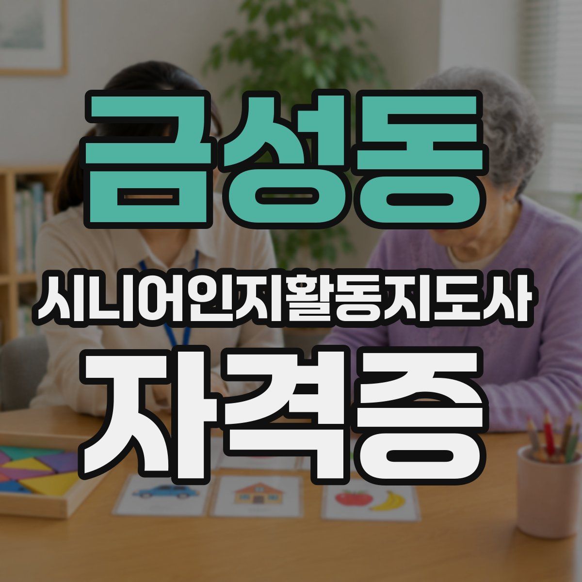 금성동 시니어인지활동지도사 자격증