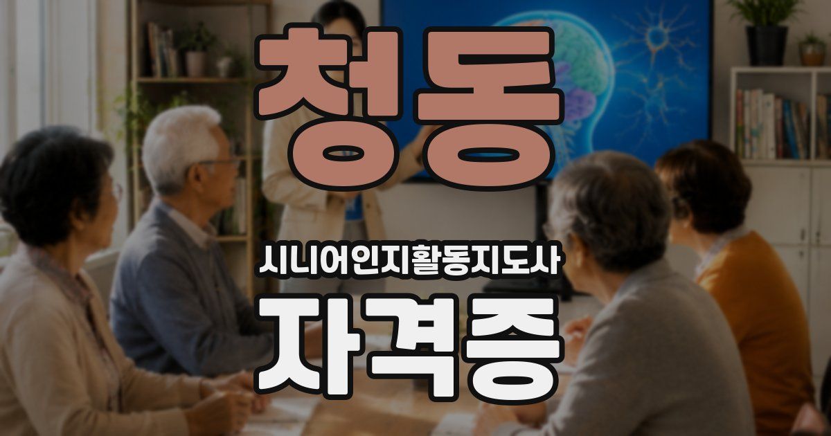 청동 시니어인지활동지도사 자격증
