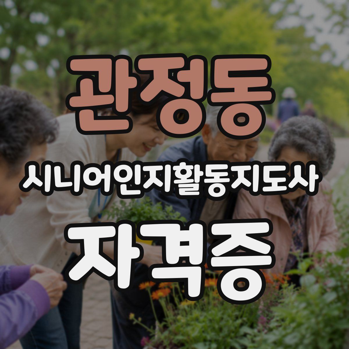 관정동 시니어인지활동지도사 자격증