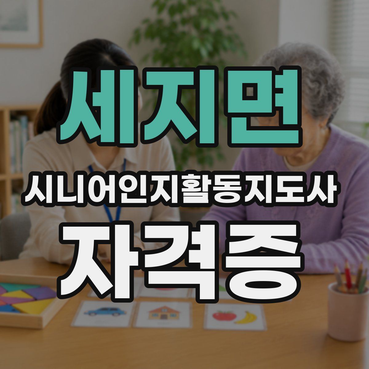 세지면 시니어인지활동지도사 자격증
