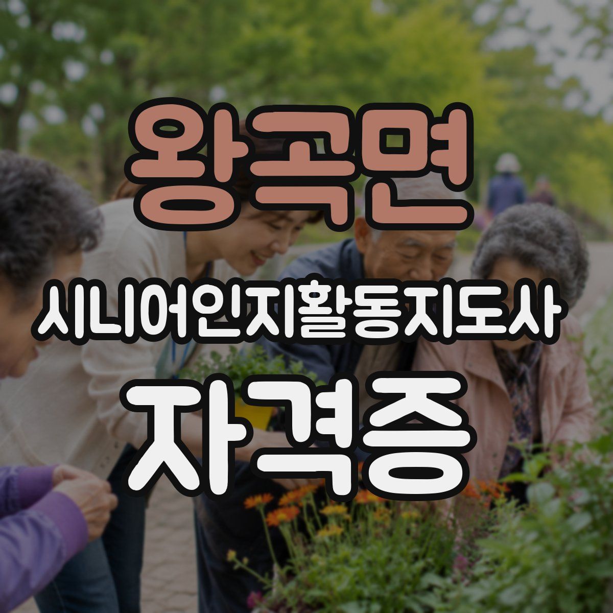 왕곡면 시니어인지활동지도사 자격증