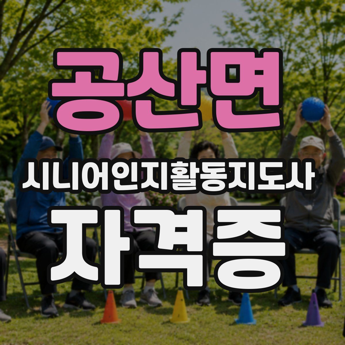 공산면 시니어인지활동지도사 자격증