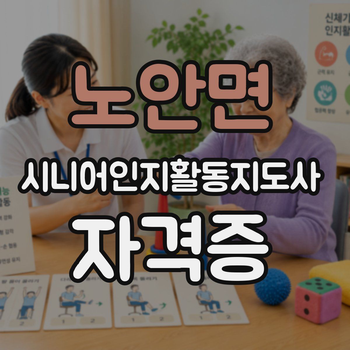 노안면 시니어인지활동지도사 자격증
