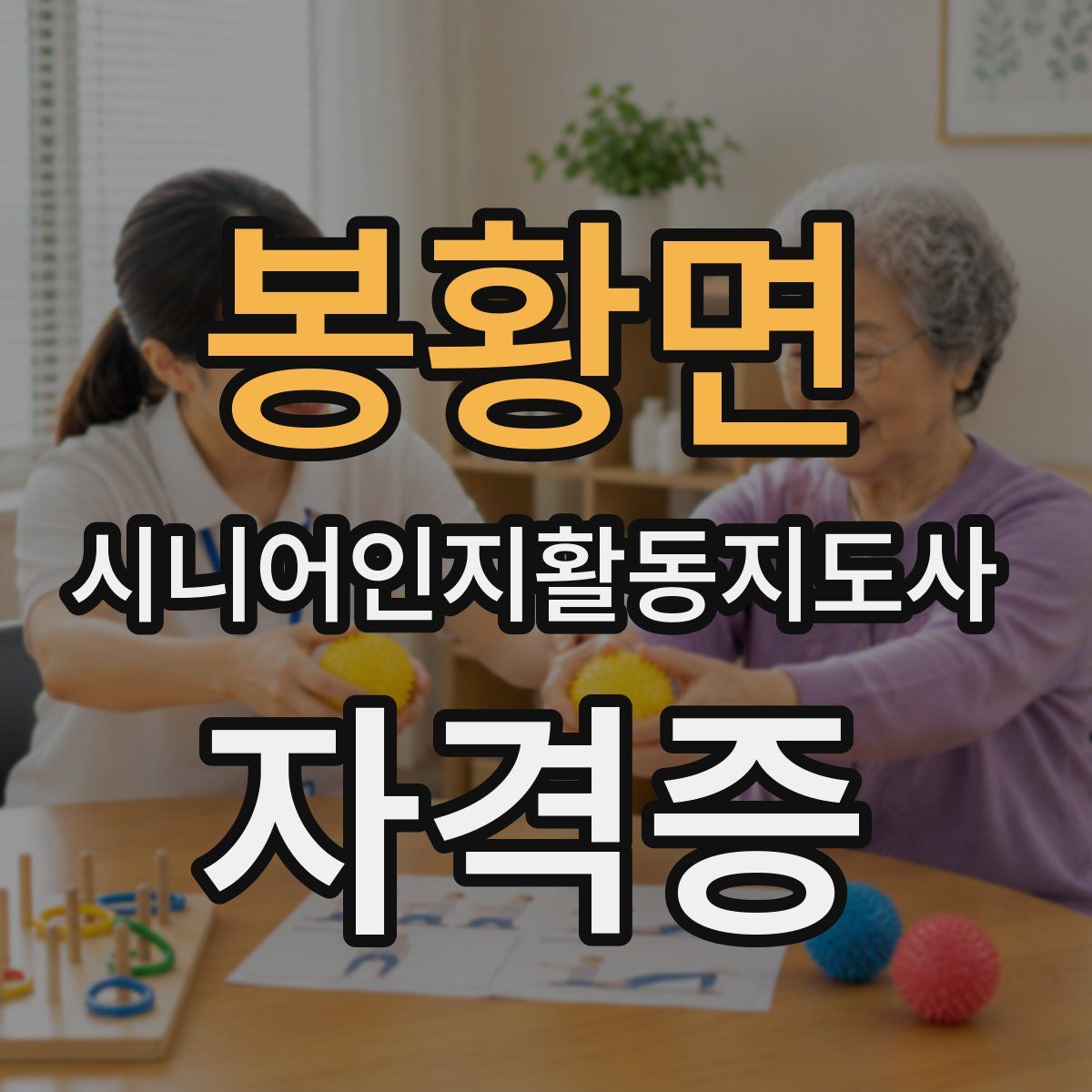 봉황면 시니어인지활동지도사 자격증