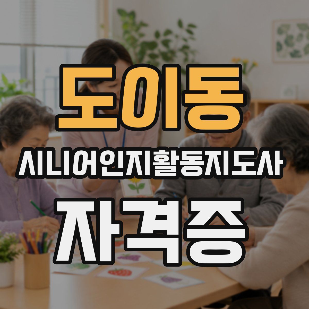 도이동 시니어인지활동지도사 자격증