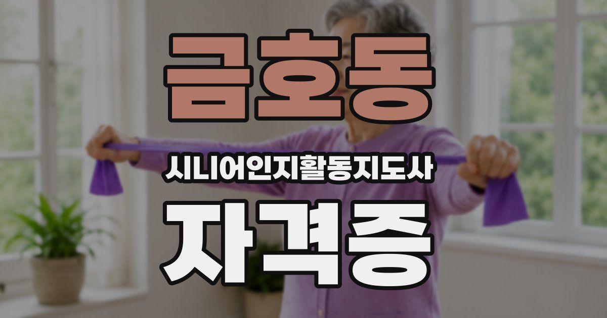 금호동 시니어인지활동지도사 자격증