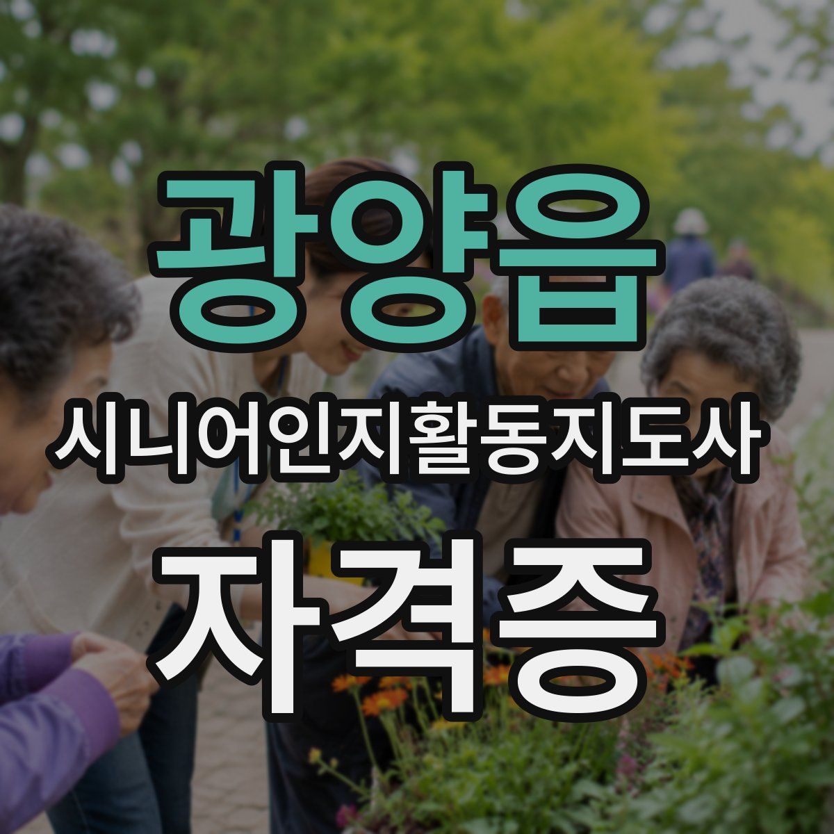 광양읍 시니어인지활동지도사 자격증