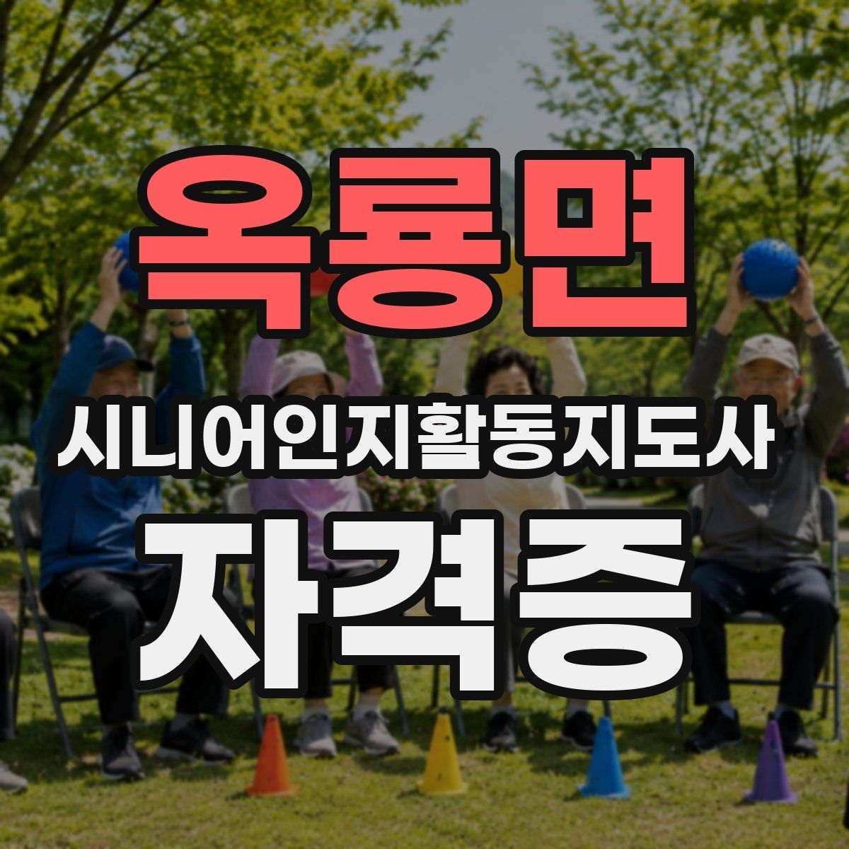 옥룡면 시니어인지활동지도사 자격증