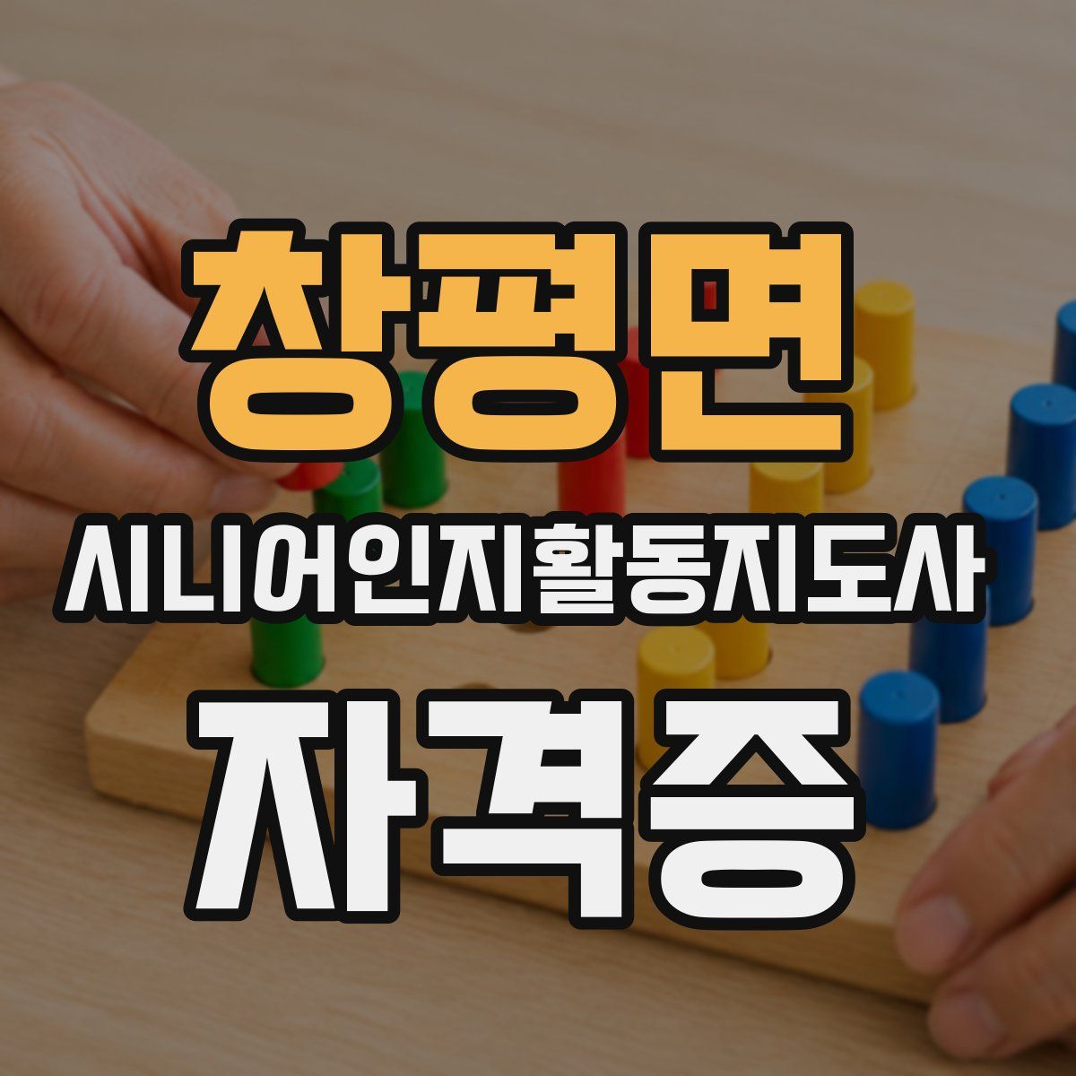 창평면 시니어인지활동지도사 자격증
