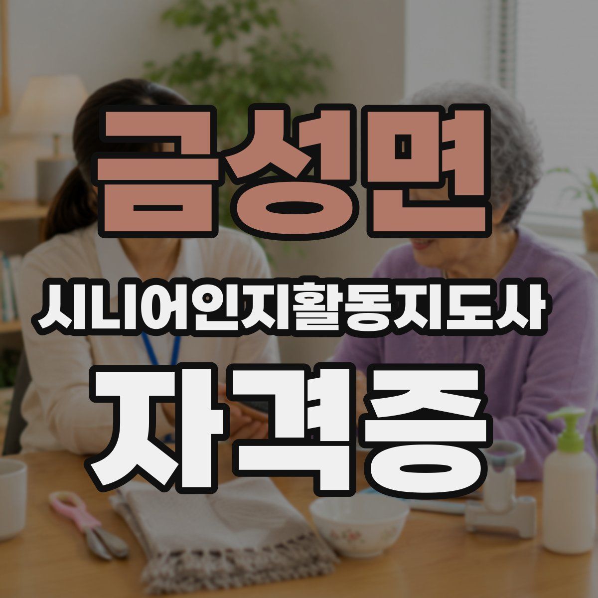 금성면 시니어인지활동지도사 자격증