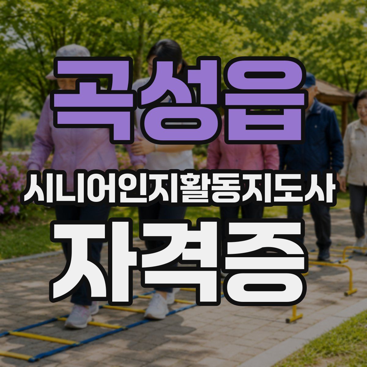 곡성읍 시니어인지활동지도사 자격증