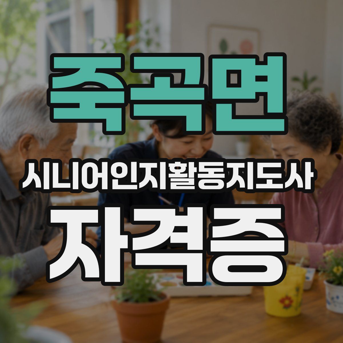 죽곡면 시니어인지활동지도사 자격증