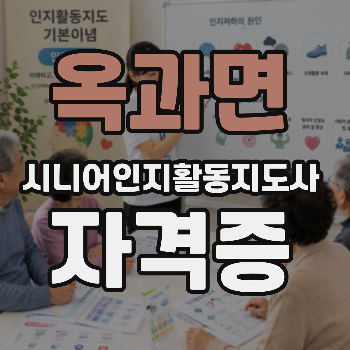 옥과면 시니어인지활동지도사 자격증