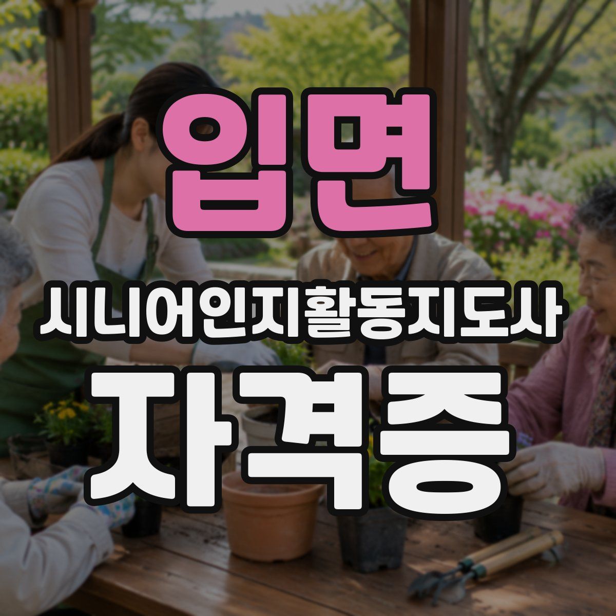 입면 시니어인지활동지도사 자격증