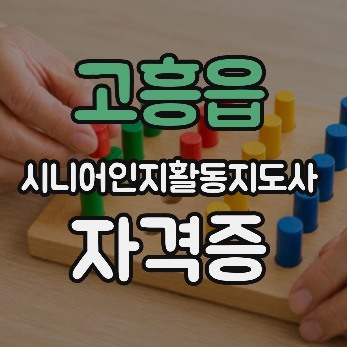 고흥읍 시니어인지활동지도사 자격증