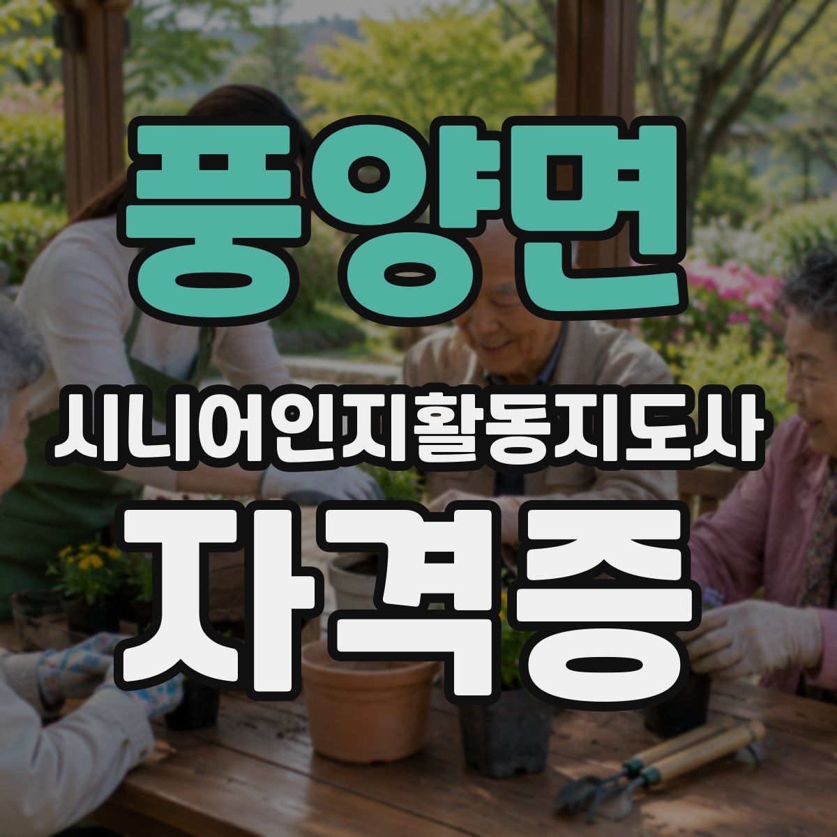 풍양면 시니어인지활동지도사 자격증