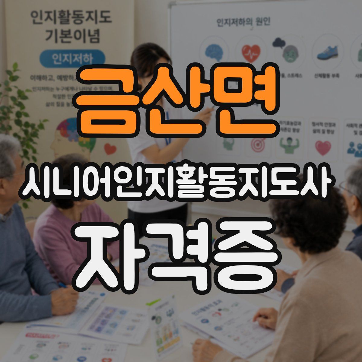 금산면 시니어인지활동지도사 자격증