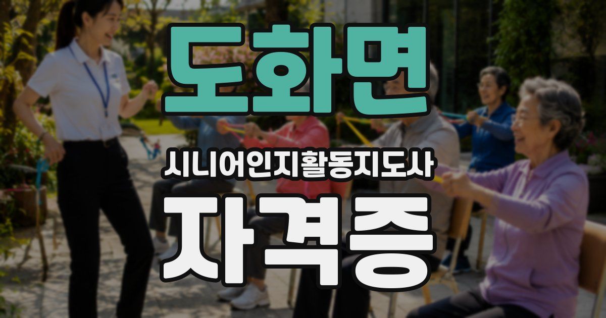 도화면 시니어인지활동지도사 자격증