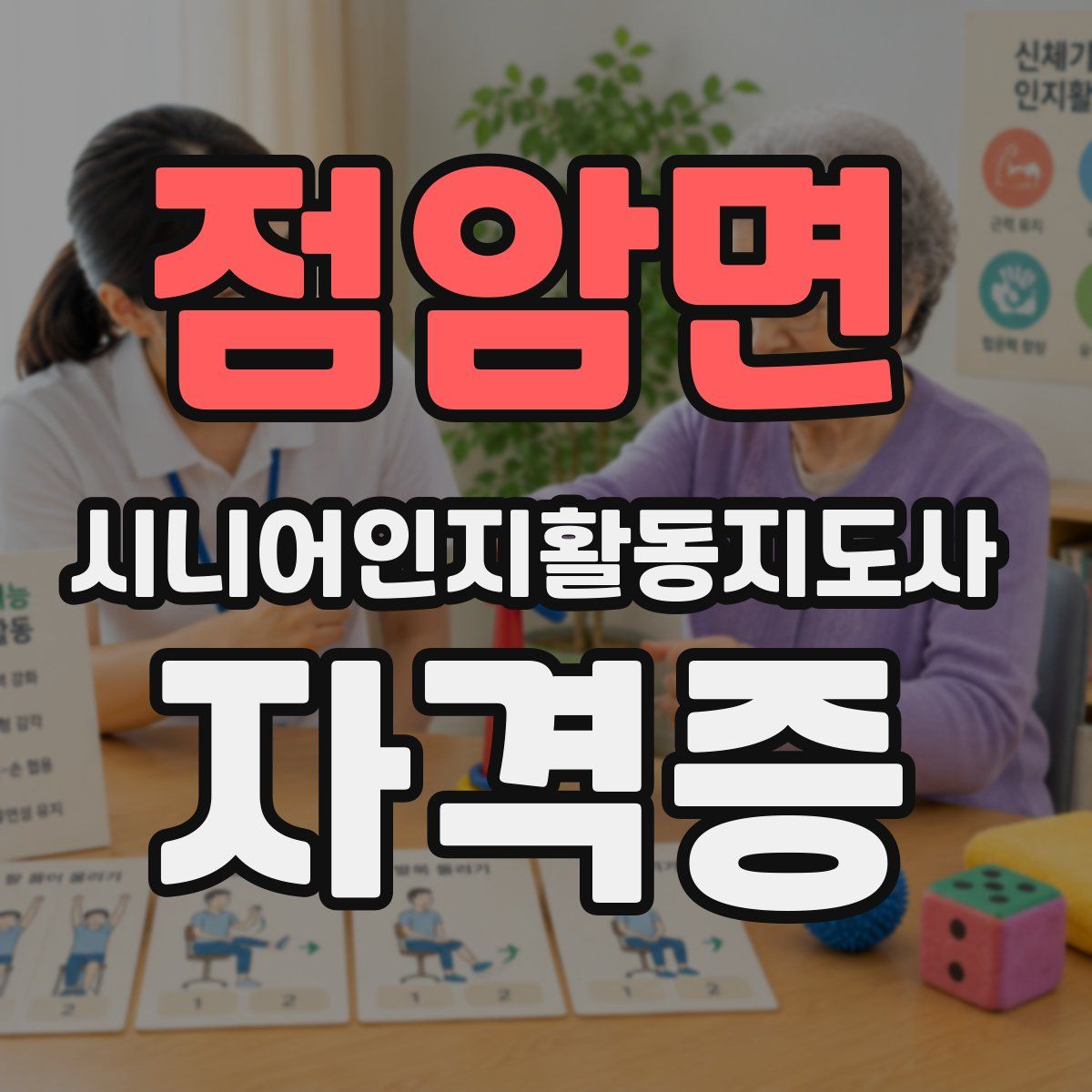점암면 시니어인지활동지도사 자격증