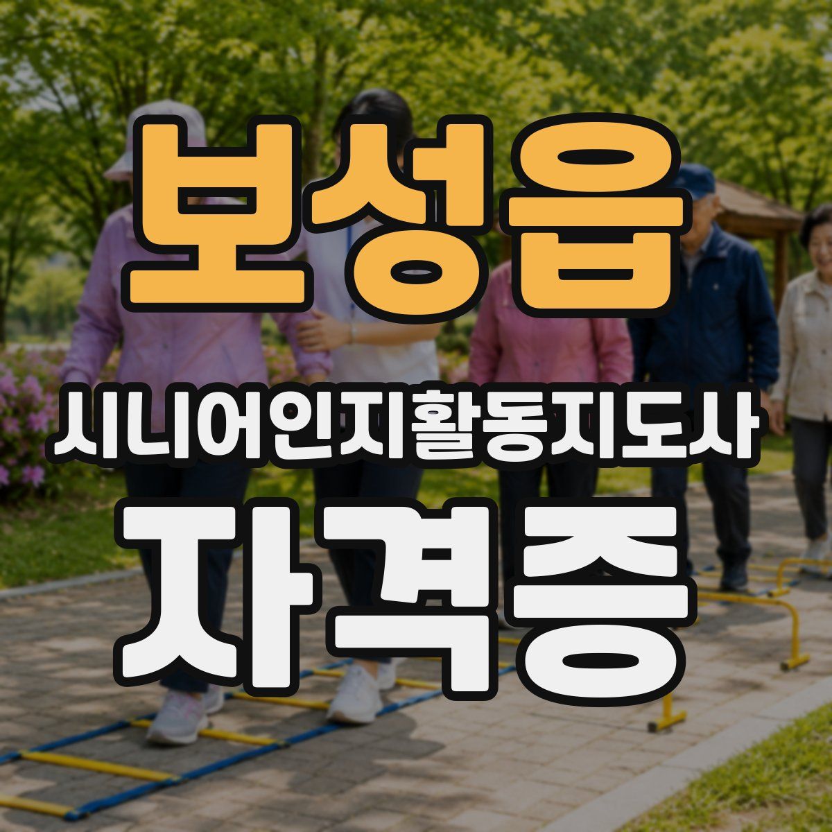 보성읍 시니어인지활동지도사 자격증