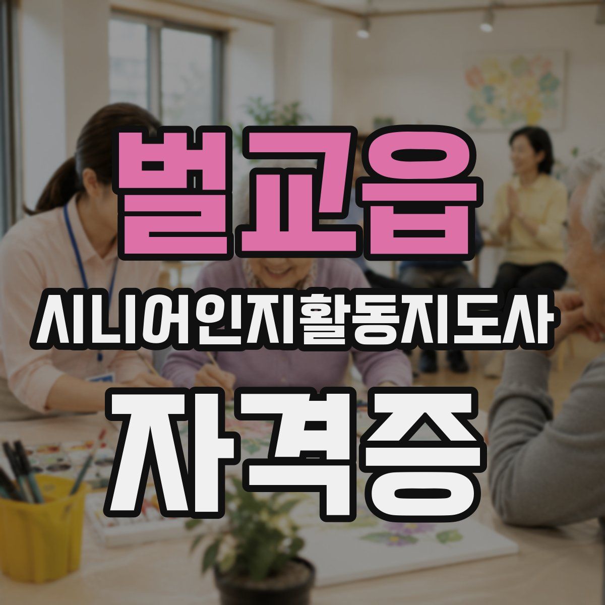 벌교읍 시니어인지활동지도사 자격증