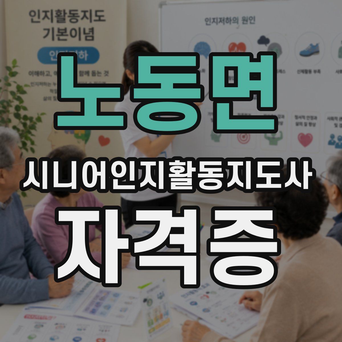노동면 시니어인지활동지도사 자격증