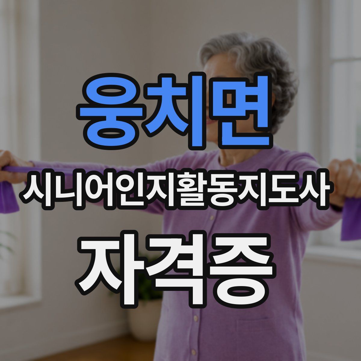 웅치면 시니어인지활동지도사 자격증