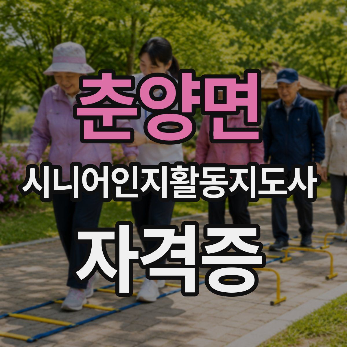 춘양면 시니어인지활동지도사 자격증