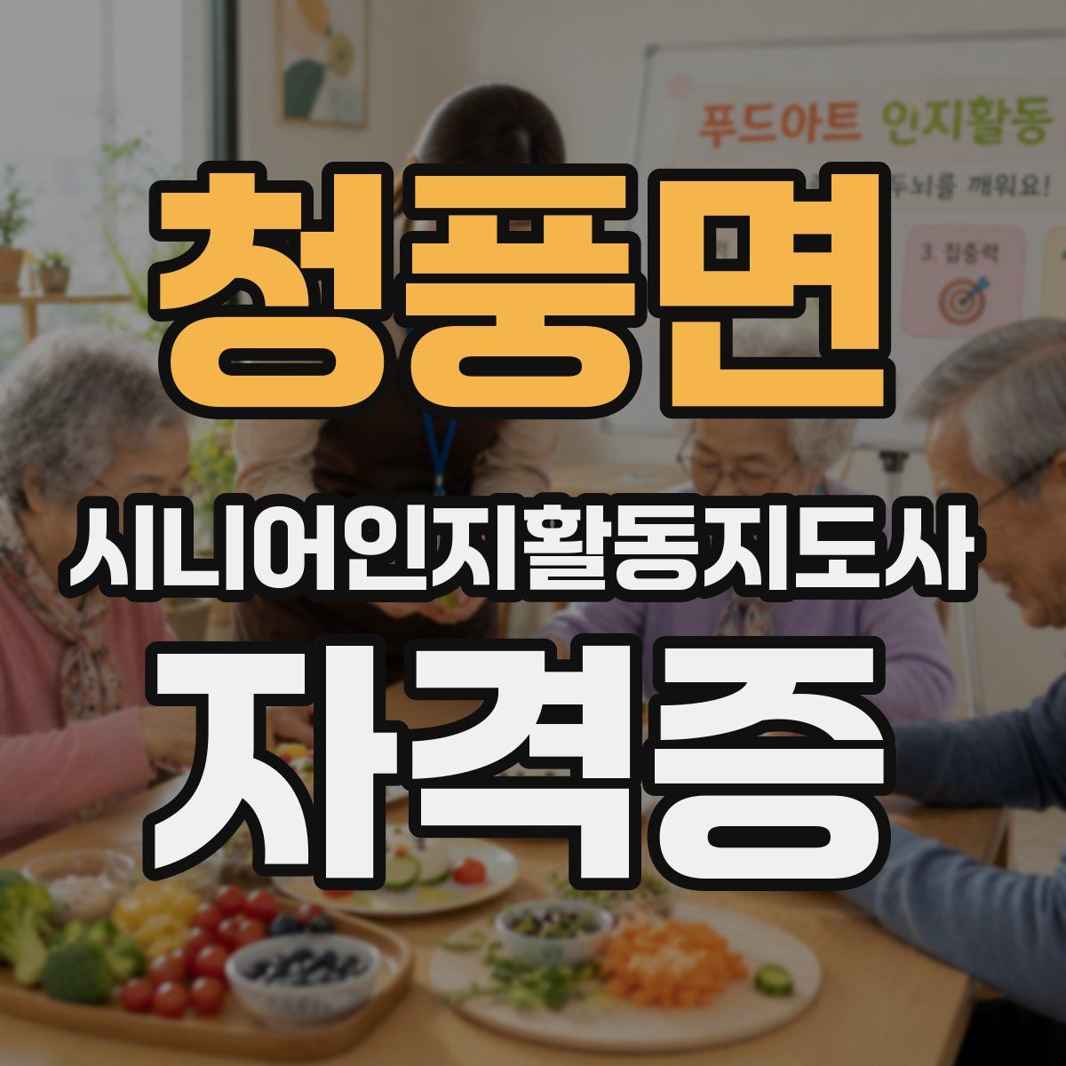 청풍면 시니어인지활동지도사 자격증