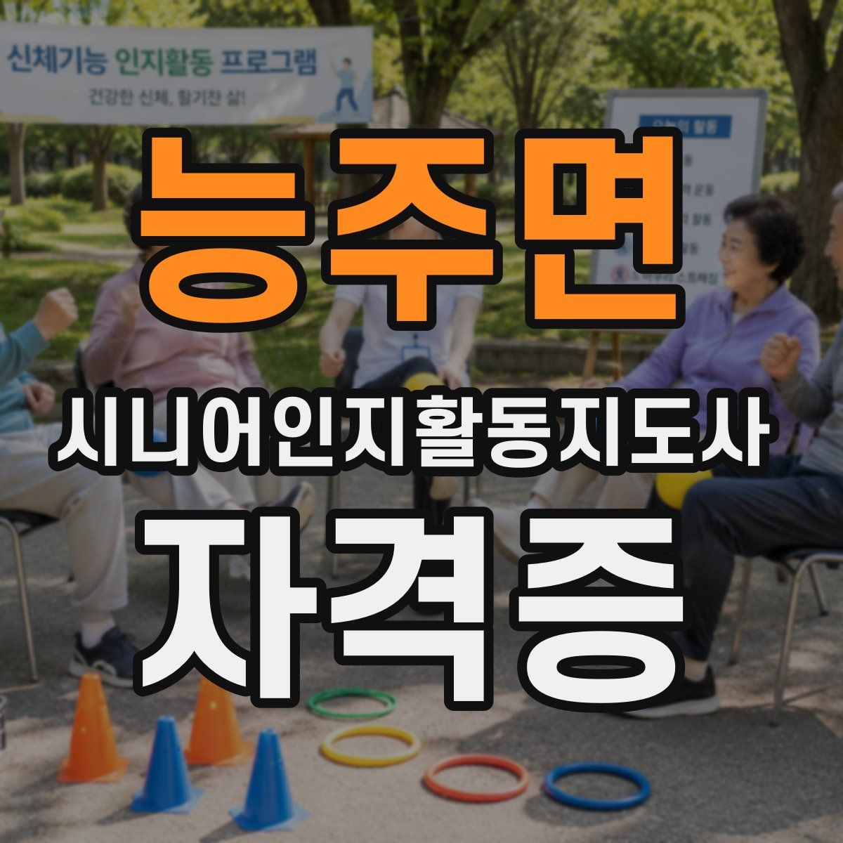 능주면 시니어인지활동지도사 자격증