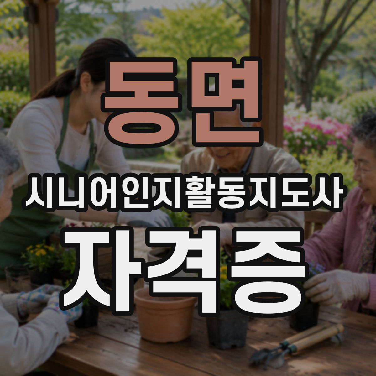 동면 시니어인지활동지도사 자격증